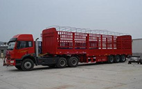 廣州至秀山縣貨運物流專線服務 錦成貨運部引領高效運輸新標桿